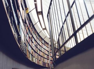 Nach dem Bereitstellen der Inhalte der Bibliothek ist es wichtig, die Dokumente einer breiten Öffentlichkeit zugänglich zu machen. Es gibt mehrere Plattformen, welche eine einfache und wirksame Verbreitung der digitalen Inhalte ermöglichen. (#1)