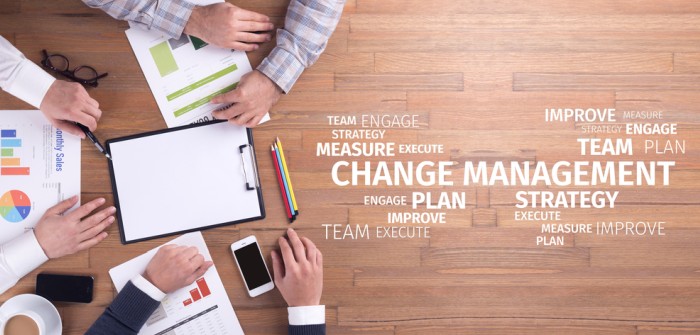 Change Management: Veränderungen gezielt angehen