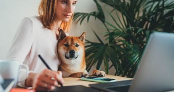 Hund am Arbeitsplatz: Mehrwert für Mitarbeiter und Arbeitgeber Positive Auswirkungen von Hunden am Arbeitsplatz für Mitarbeiter und (Foto: AdobeStock - iana_kolesnikova 334847866)