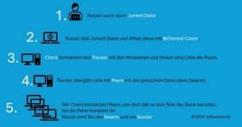 Infografik: Ein Torrent funktioniert so.