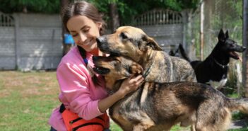 Tierheim Paderborn: Ein Ort der Hoffnung für Tiere in Not (Foto: AdobeStock - 296982362 New Africa)