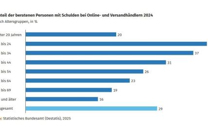 29 Prozent der Ratsuchern verschuldet bei Online Versandhändlern (Foto: Statistisches Bundesamt destatis)